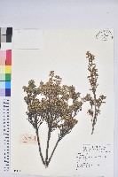 登錄號:S074306藏品圖，第1張