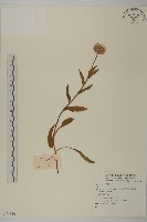 登錄號:S074316藏品圖，第1張