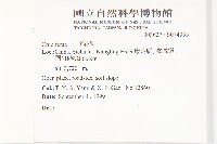 登錄號:S074335藏品圖，第2張