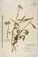 登錄號:S074336藏品圖，第1張