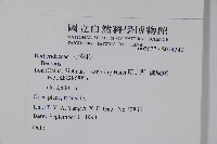 川西小檗藏品圖，第2張