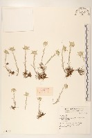 登錄號:S074351藏品圖，第1張