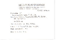 星狀風毛菊藏品圖，第2張