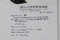 桃兒七藏品圖，第2張