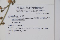 登錄號:S074369藏品圖，第2張