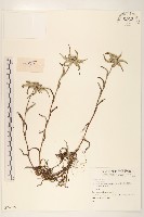 登錄號:S074385藏品圖，第1張