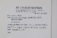 登錄號:S074399藏品圖，第2張