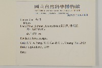 登錄號:S074400藏品圖，第2張