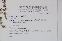 登錄號:S074401藏品圖，第2張