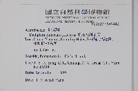 華九頭獅子草藏品圖，第2張