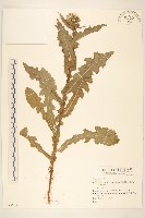 登錄號:S074424藏品圖，第1張