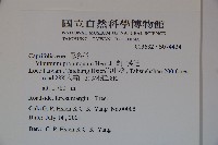 高山莢迷藏品圖，第2張