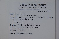 忍冬、金銀花藏品圖，第2張