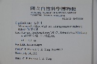 狹葉莢迷藏品圖，第2張