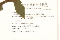 臺灣福王草藏品圖，第2張