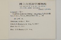 尼泊爾籟簫藏品圖，第2張