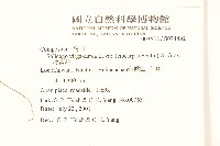 一枝黃花藏品圖，第2張