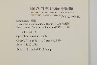 玉山抱莖籟簫藏品圖，第2張