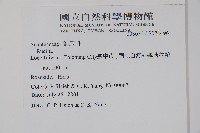 登錄號:S074496藏品圖，第2張