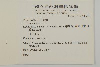 鹿皮斑木薑子藏品圖，第2張