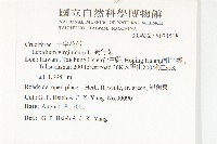 獨行菜藏品圖，第2張