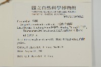 玉山抱莖籟簫藏品圖，第2張
