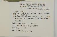 臺灣鬼督郵藏品圖，第2張