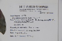 雪山冬青藏品圖，第2張