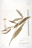 登錄號:S074549藏品圖，第1張