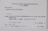 昌化鵝耳櫪藏品圖，第2張
