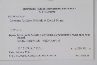 登錄號:S074572藏品圖，第2張