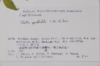 登錄號:S074594藏品圖，第2張