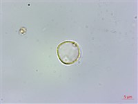 登錄號:S074615藏品圖，第1張