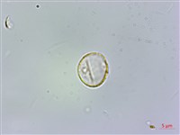 登錄號:S074615藏品圖，第3張