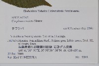 千金榆藏品圖，第2張