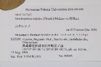 三菱果樹參藏品圖，第2張