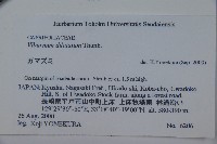 莢迷藏品圖，第2張