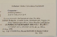 禾葉繁縷藏品圖，第2張