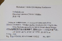 蘿藦藏品圖，第2張