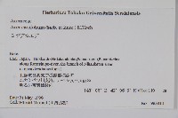 薇莓槭藏品圖，第2張