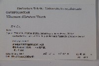 莢迷藏品圖，第2張