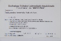 頂蕊三角咪藏品圖，第2張