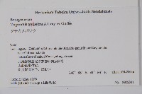 登錄號:S074665藏品圖，第2張