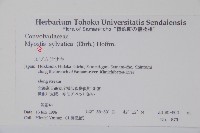 勿忘草藏品圖，第2張