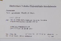 團扇槭藏品圖，第2張