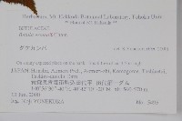 岳樺藏品圖，第2張