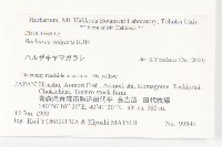 歐洲山芥藏品圖，第2張