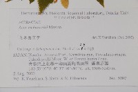 登錄號:S074721藏品圖，第2張