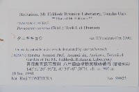 山桔梗藏品圖，第2張