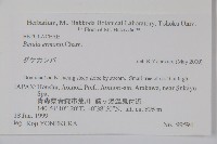 岳樺藏品圖，第2張